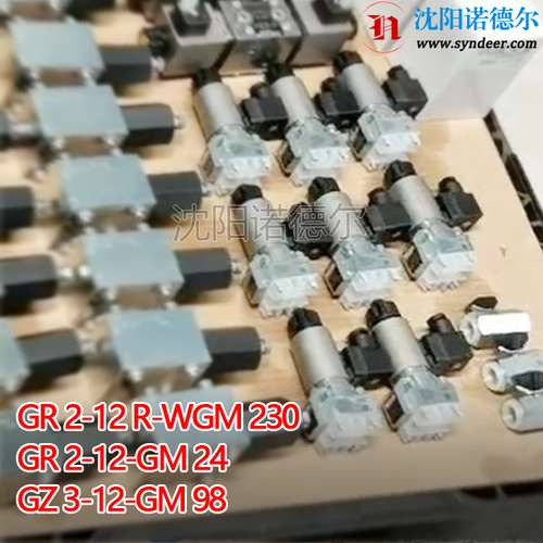 GS2-1-G24 德国HAWE哈威代理GS2-1-G24升级成GS2-12-GM24电磁阀