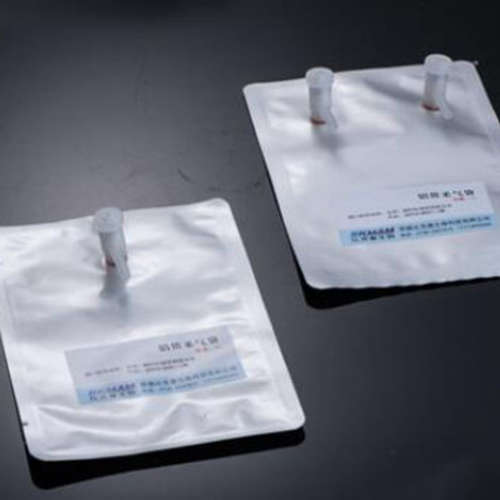 ZXX供气体采样袋 (2L/单阀门接口) 型号:DL52-2L库号：M2020