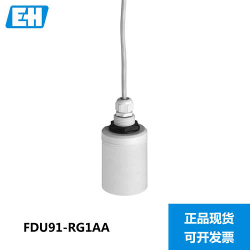 E+H超声波液位计探头FDU91-RG1AA  恩德斯豪斯Endress+Hauser现货