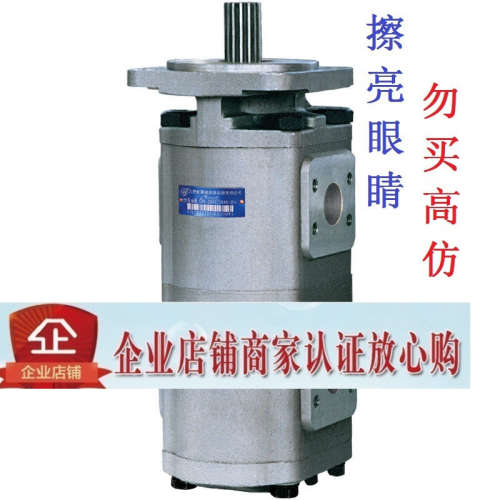 合肥长源双联齿轮油泵CBG2050/2040-BFHR BFPR