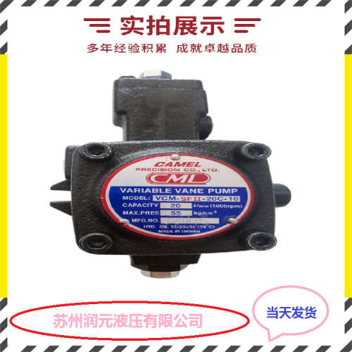 日本TOYOOKI丰兴变量柱塞HPP-VD2V-L31A3-A 货期短 欢迎询价