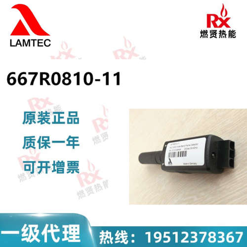 德国蓝姆泰克LAMTEC 火焰放大器 667R0810-11 现货30个原装全新