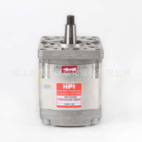法国HPI齿轮泵P1BAN2022BL10B02N