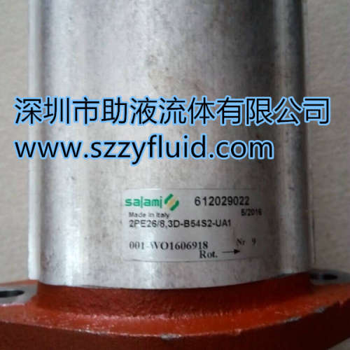 3.5PC75D-P48P3-PUMP salami齿轮泵SALAMI马达萨拉米多路阀