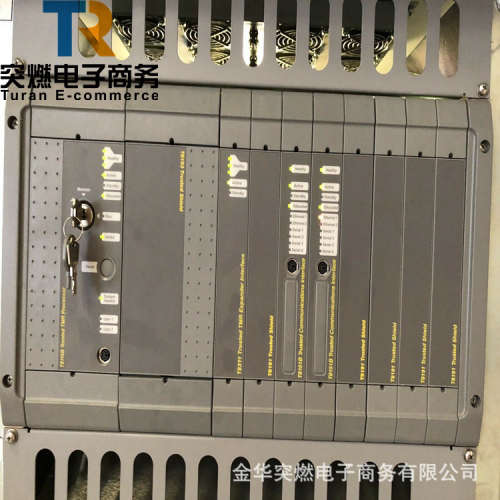 T3310 ICS TRIPLEX 品质现货 原厂现货