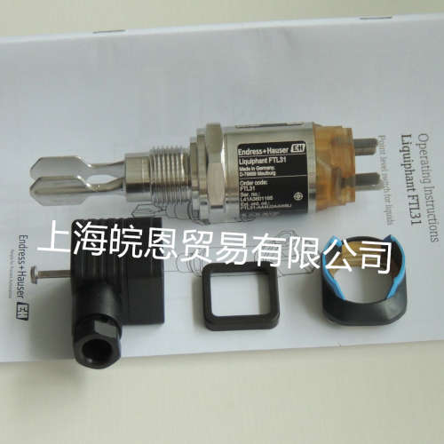 原装德国E+H音叉 FTL31-13U8/0 FTL31-AA4U3BAWSJ 液位开关液位计