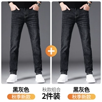 Advanced Grey H + Advanced Grey H [Spring Weef Pack]