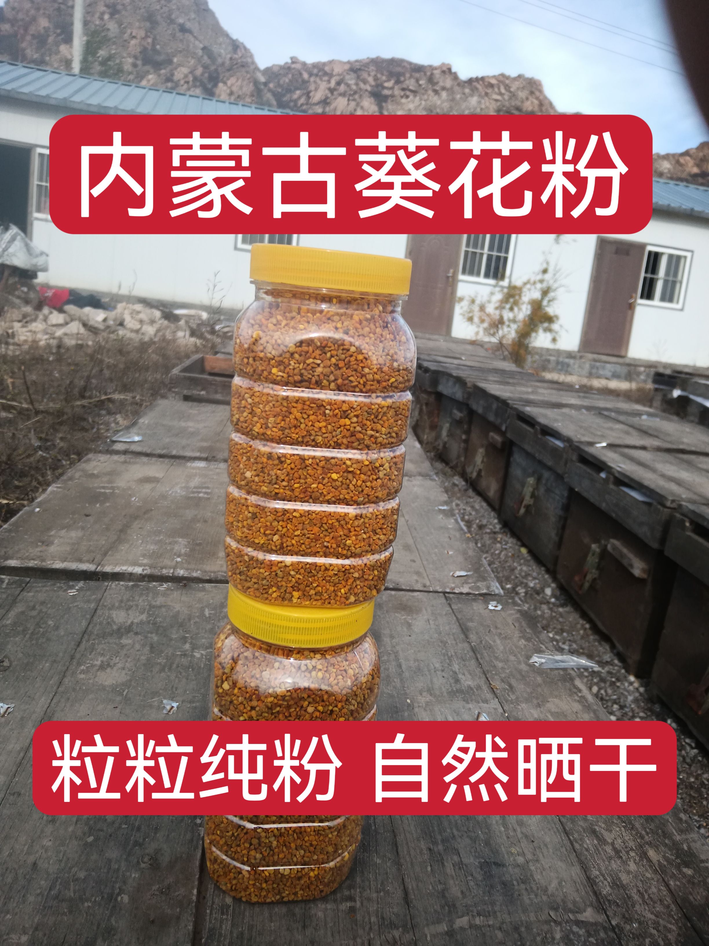 内蒙古纯正天然新鲜优质葵花蜜杂粉花粉农家自产