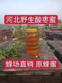 深山农家蜂蜜野生酸枣花蜂蜜酸枣蜜自然成熟无添加无无农缩2斤
