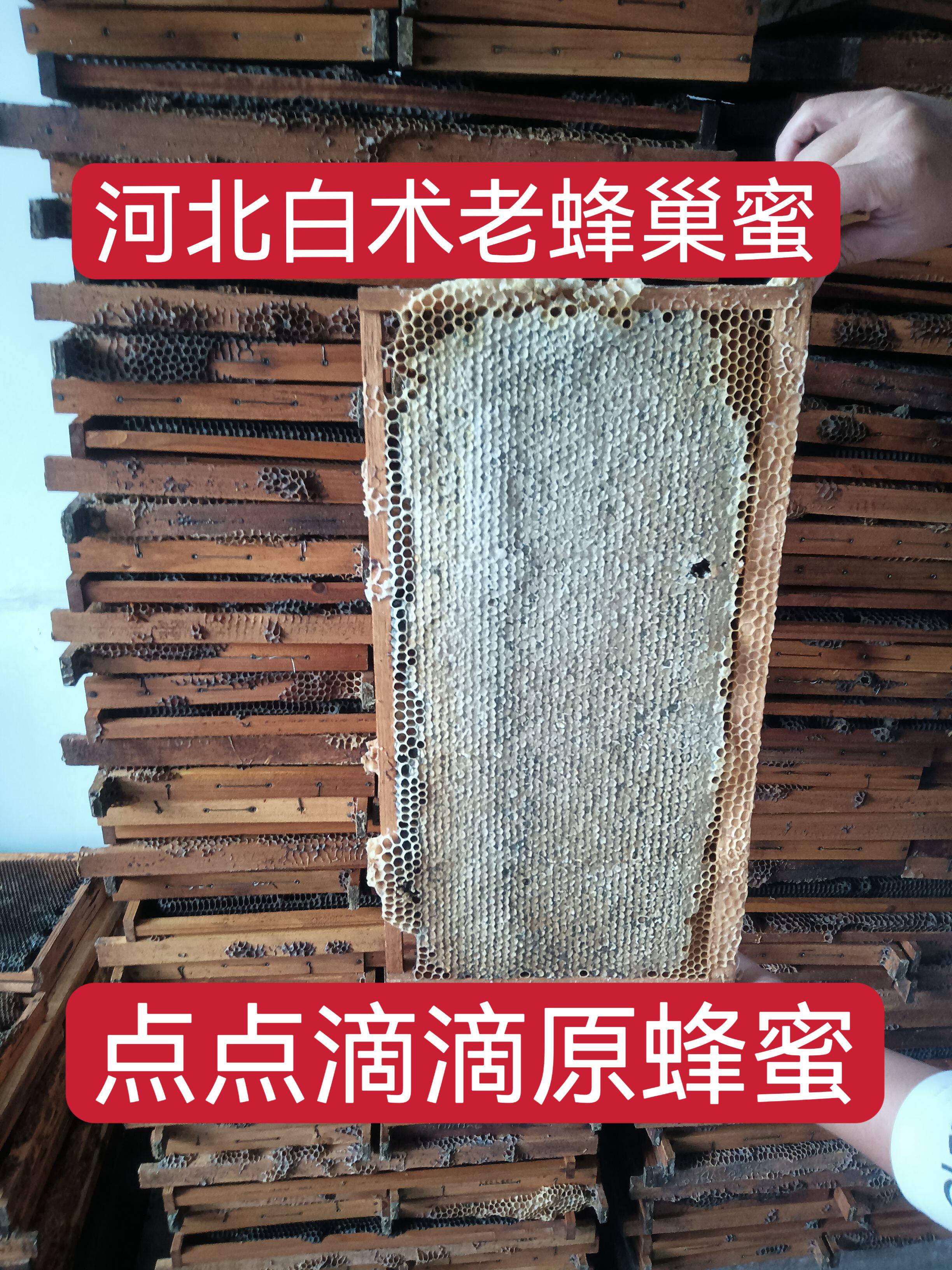药材白术蜂巢蜜 原蜂蜜 可以嚼的蜂蜜新鲜整张6..7斤