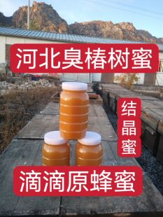 椿树花蜜原蜜农家纯蜂蜜纯天然农家原生态2斤一瓶保纯保真