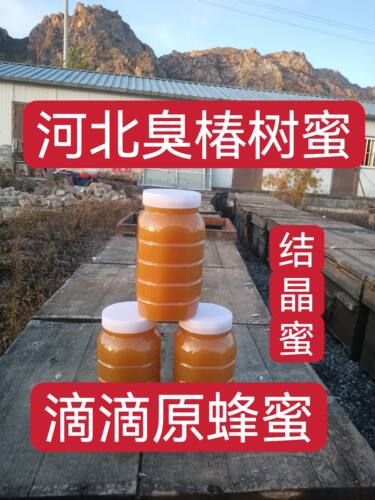 臭树花蜜原蜜农家纯蜂蜜纯天然农家原生态2斤一瓶保纯保真