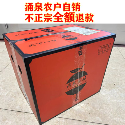 现摘临海涌泉蜜桔10斤橘子新鲜