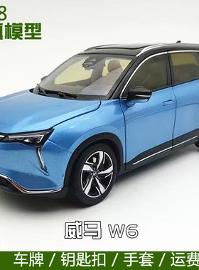 118威马W6合金车模含充电桩