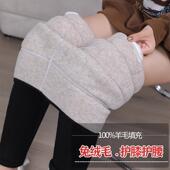 新款 护腰护膝 加厚高腰高弹力保暖棉裤 特厚羊毛外穿打底裤 女秋冬款