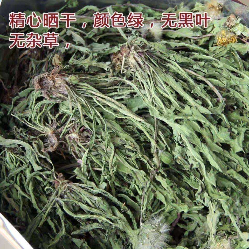 野生蒲公英干婆婆丁500g克春季新茶 蒲公英茶整颗棵 全草天然包邮
