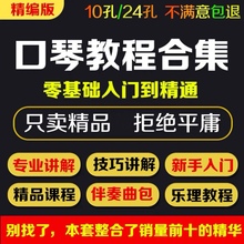 口琴自学课程视频培训教程 10孔布鲁斯 24孔半音阶教学零基础入门