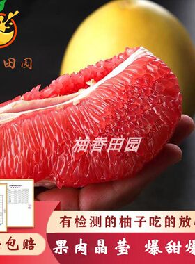现摘5斤左包邮新鲜水果红肉蜜柚