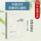 何其生 涉外法治文库 涉外法律实务工具书 2024新 法律 动产物权 中国涉外民事诉讼通则 涉外保全措施 正版 涉外民事诉讼规则指南