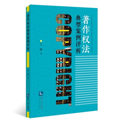 正版 2021新书 著作权法典型案例评析 王渊 知识产权出版社 9787513075541