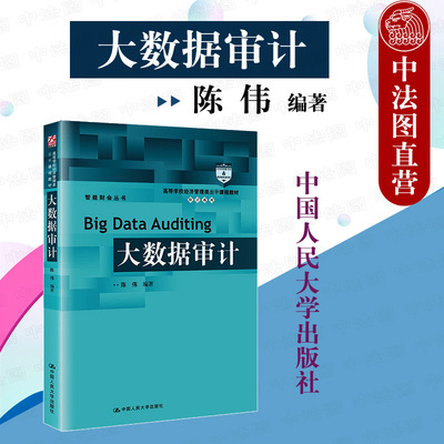 正版 2021新 大数据审计 陈伟 高等学校经济管理类教材 审计系列 审计会计财务管理专业教材 大学本科考研教材大数据审计原理 人大