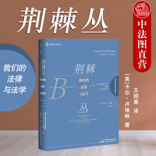 2020新书 荆棘丛——我们的法律与法学