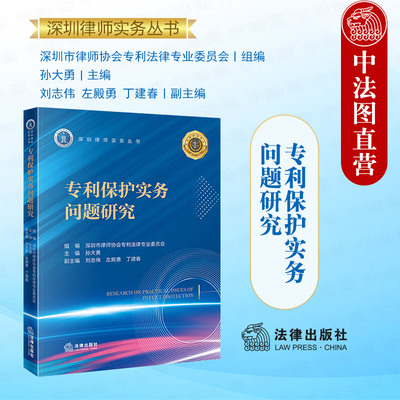 正版2025新 专利保护实务问题研究 孙大勇 深圳律师实务丛书 专利法律实务问题 专利民事诉讼无效审查实务典型案例评述 法律出版社