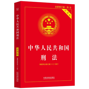 刑事类司法解释 第十版 中华人民共和国刑法 条文主旨司法解释 实用版 根据刑法修正案十二修订 正版 法制 刑法制度实用工具书 10版