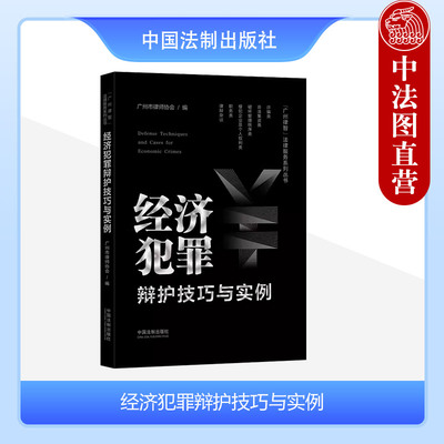 中国法制经济犯罪辩护技巧与实例