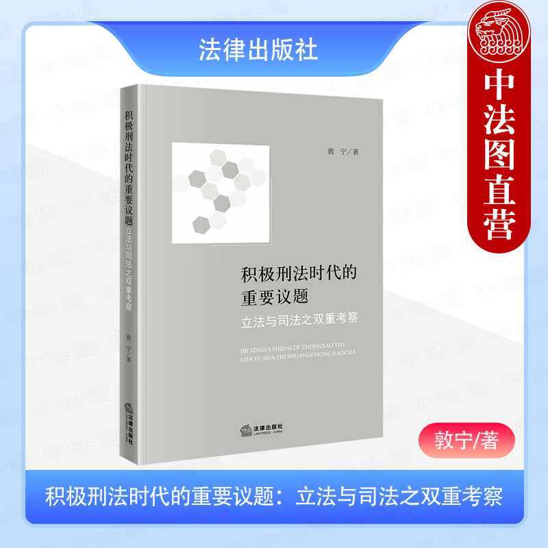 积极刑法时代的重要议题