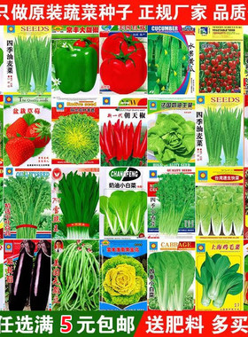 Vegetable seeds, coriander seeds, seasonal balcony potted l