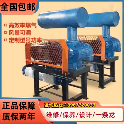 三叶罗茨鼓风机45kw沼气小龙虾粉体输送250型高压225型SR污水处理
