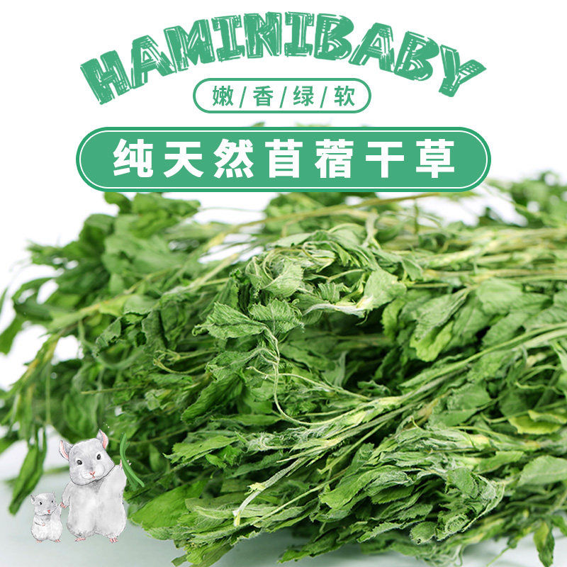 【傻傻龙猫】毛重1kg 苜蓿草  兔子龙猫饲料豚鼠干牧草
