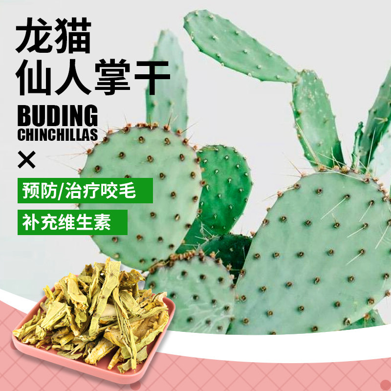 【傻傻龙猫】 50g 天然仙人掌干 龙猫兔子 天然零食预防咬毛 包邮