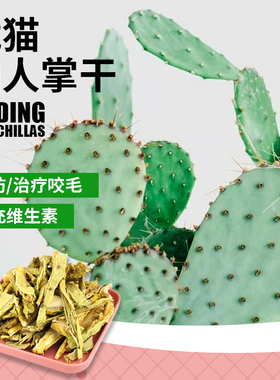 【傻傻龙猫】 50g 天然仙人掌干 龙猫兔子 天然零食预防咬毛 包邮