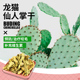 天然零食预防咬毛 包邮 天然仙人掌干 龙猫兔子 傻傻龙猫 50g