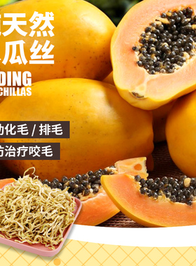 傻傻龙猫30克木瓜干木瓜丝咬毛化毛食毛症果干龙猫兔子豚鼠零食