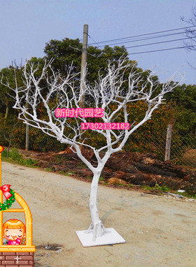 白树枝干枝枯树白色树橱窗展厅装饰树婚庆摄影道具艺术树干树枝