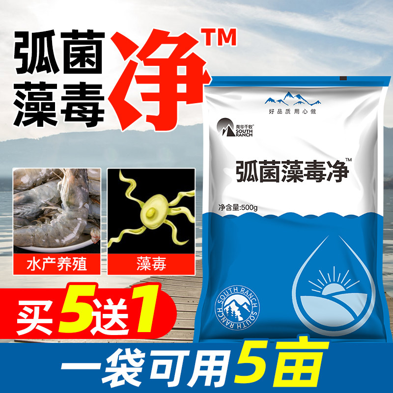 弧菌藻毒净生物菌种制抑弧菌吸收藻毒素龙虾蟹鱼塘水产养殖稳壮苗