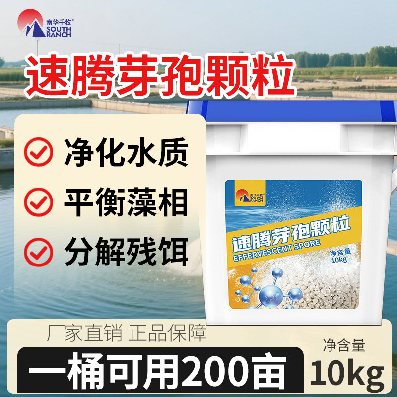 速腾芽孢颗粒水产养殖净化水质分解残饵鱼虾蟹塘改底调水平衡藻相