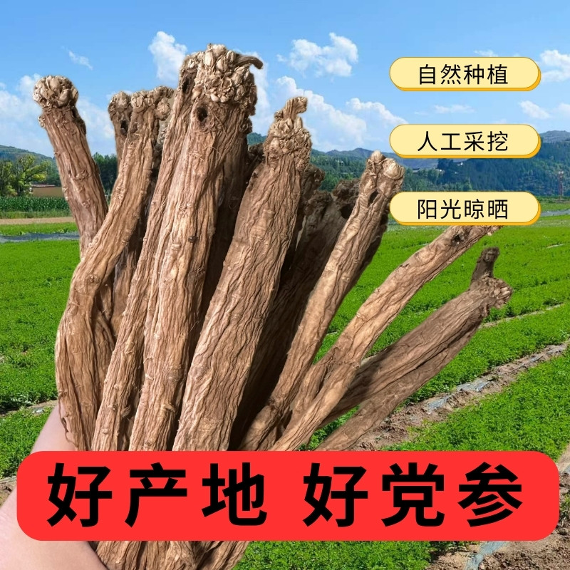 甘肃正宗中药材党参条白无硫熏整根段农家正品干货切片补气血煲汤图片