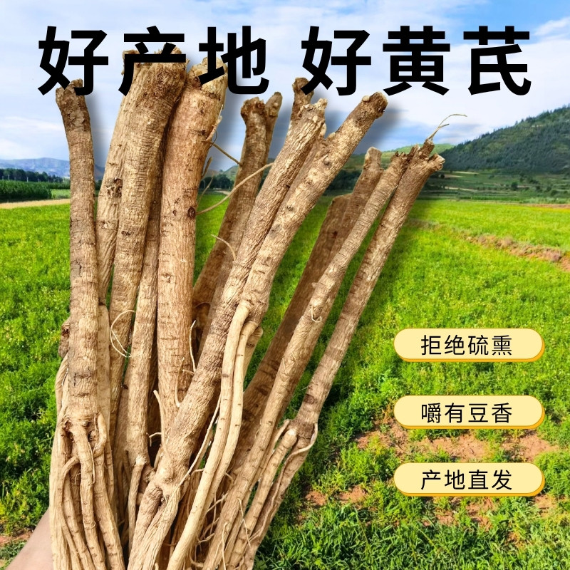甘肃黄芪条无硫熏好黄芪