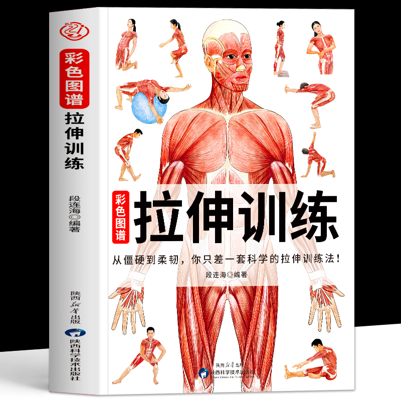 拉伸训练彩色图谱正版 拉伸训练解剖全书 运动解剖学精准拉伸运动系统训练肌肉松解拉伸健美训练肌肉训练完全图解拉伸动作图解书籍