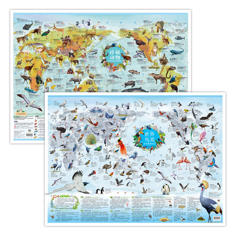 2张珍稀动物世界鸟类墙贴儿童房大尺寸少儿地图纸质版儿童地理启蒙知识卡通益智科普百科画小学生趣味地图 教孩子认识了解保护动物