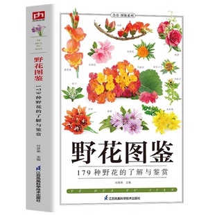 野花图鉴 179种野花的了解与鉴赏 野外常见花卉园林植物识别图鉴 植物图鉴百科全书 花卉养殖生长习性科普知识 野花野外识别图鉴书