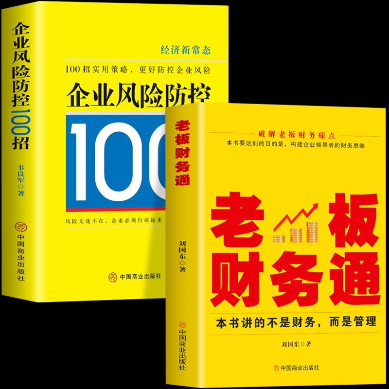 2册 老板财务通+企业风险防控100招 商业模式营销企业经营管理法律风险防控税收筹划一本通会计做账纳税申报基础知识 人力资源管理