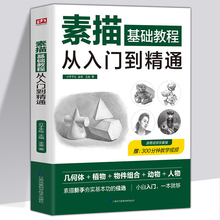 任选5本 35元 素描零基础教程从入门到精通教程材书籍人物素描速写书美术绘画入门基础教程教材书籍速写基础实用教程书 赠视频教学