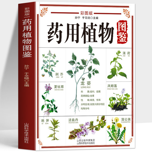 正版 药用植物图鉴彩图版 中草药全图鉴彩图大全书 药用植物辨别图鉴食用宜忌功效指南书 野外中草药识别与应用图谱中医草药书籍