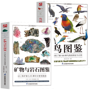 正版全2册 矿物与岩石图鉴+鸟图鉴 矿石百科全书 231种矿物与65种岩石鉴别指南 矿石特征知识大百科书 鸟类图鉴行为科普百科全书