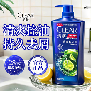 清扬洗发水男士900g大容量控油蓬松去屑家用官方正品止痒头膏露液